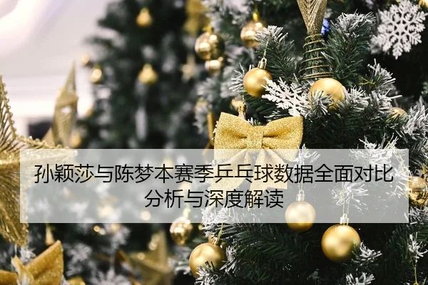 孙颖莎与陈梦本赛季乒乓球数据全面对比分析与深度解读