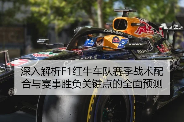 深入解析F1红牛车队赛季战术配合与赛事胜负关键点的全面预测